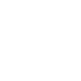 use_cases.automotive