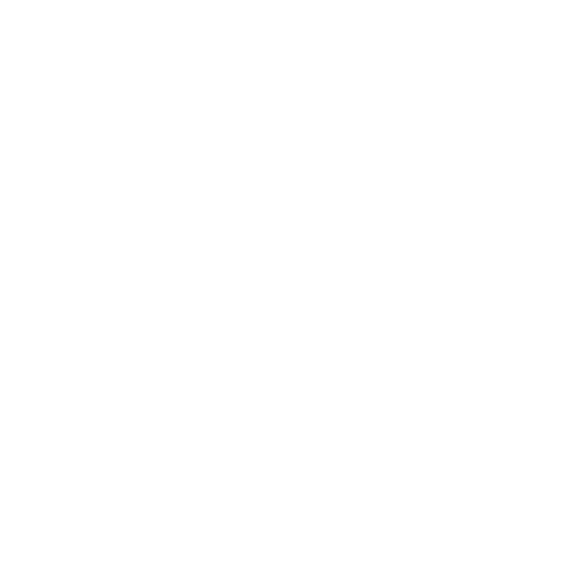 whyus-icon-1
