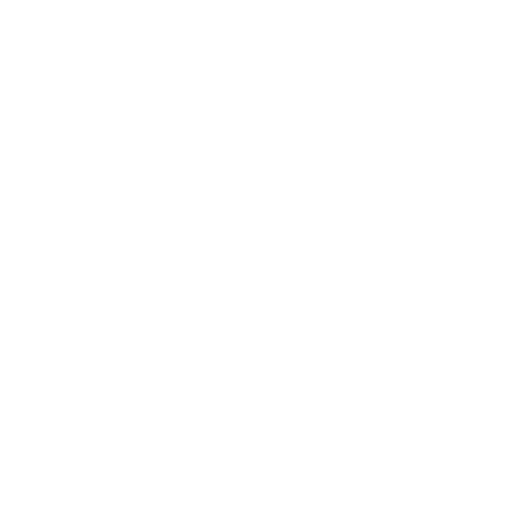 icon-1