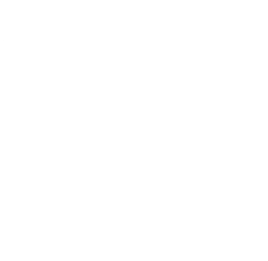 whyus-icon-2