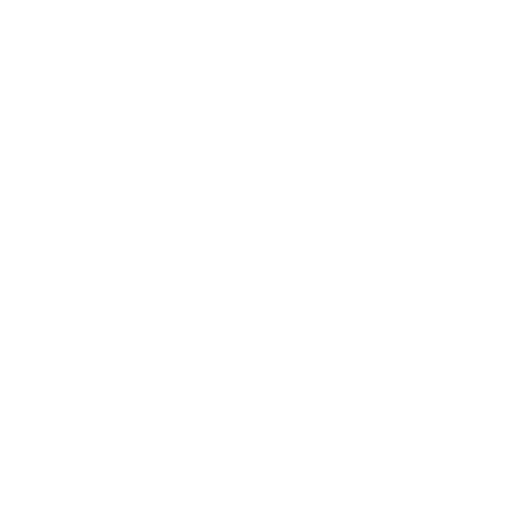 whyus-icon-1