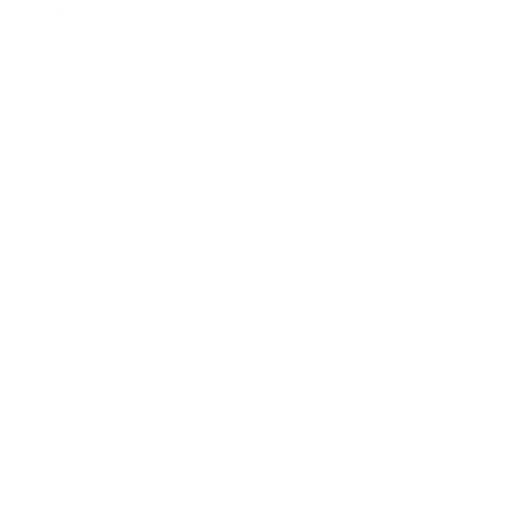 icon-1
