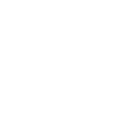 icon-1