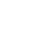 icon-0