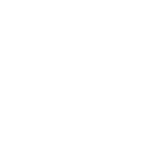 whyus-icon-0